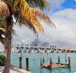 Waterfront view with a palm tree, wooden dock, bridge, and city skyline under a partly cloudy sky