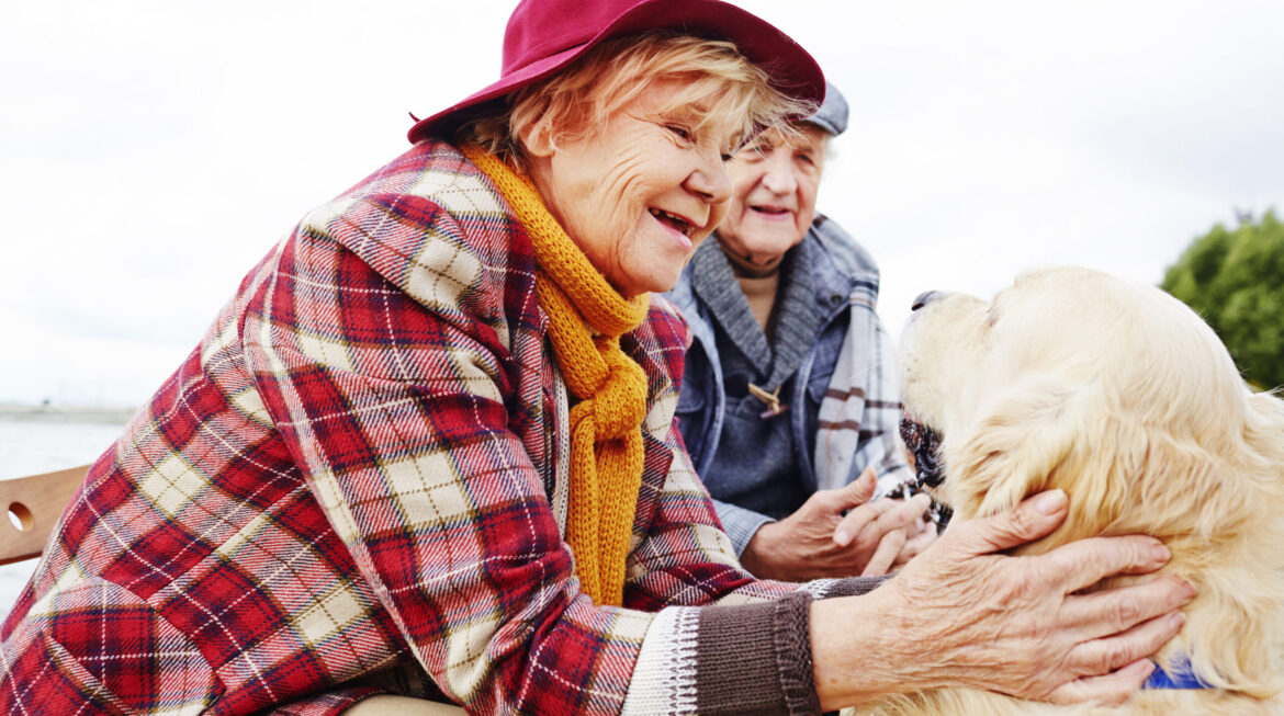 Benefits of Pet Therapy for Seniors and How It Improves Quality of Life