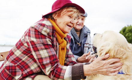 Benefits of Pet Therapy for Seniors and How It Improves Quality of Life